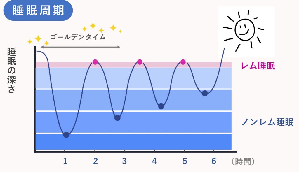 睡眠サイクルを知って、質の良い眠りを手に入れましょう! 睡眠サイクルを知って、質の良い眠りを手に入れましょう!